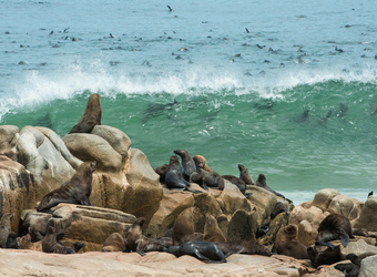 Photo: How to Include Skeleton Coast in Your Safari Itinerary