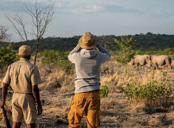 Photo: Wildlife Viewing & Activities