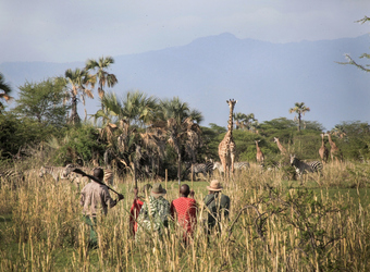 Photo: Wildlife Viewing & Activities