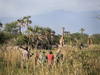 Photo: Wildlife Viewing & Activities