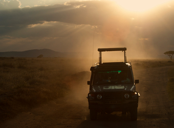 Photo: Zimbabwe Safari Highlights