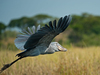 Photo: Wildlife Viewing & Activities