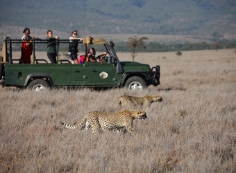 Photo: Wildlife Viewing & Activities