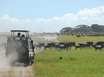 Photo: Tanzania Safari Highlights