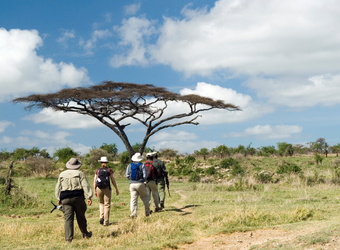 Photo: Zambia Safari Highlights