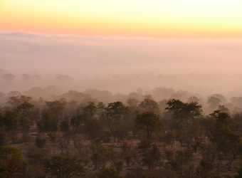 Photo: Conservation in Zambia