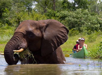 Photo: Conservation