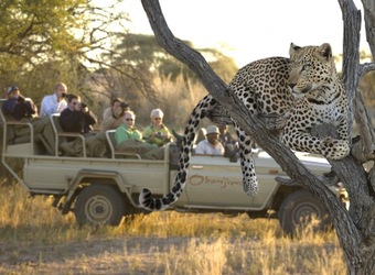 Photo: Wildlife Viewing & Activities