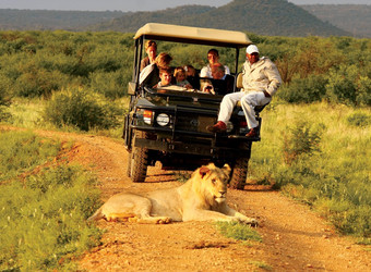 Safari guests hang out of the back of a safari vehicle posing for a picture on a safari In Madikwe Game Reserve, South Africa