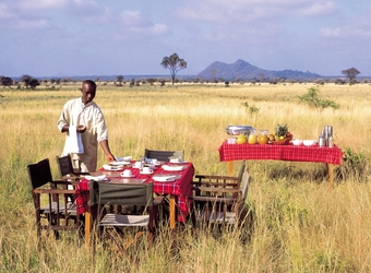 A safari camp staff member sets up a luxury picnic lunch in a secluded, remote, private section of Meru National Park, Kenya