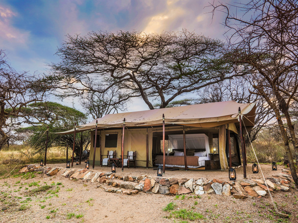 Large_mwiba_tented_-_1
