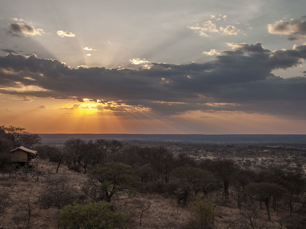 Large_mwiba_tented_-_6
