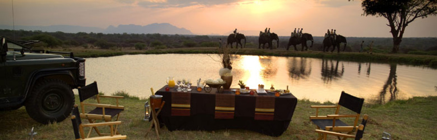 An elephant backed safari walk, four elephants with guests reflected into the water at sunrise, a scrumptious breakfast by a pristene watering hole