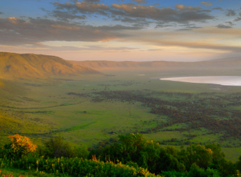 A picturesque overhead plane view of the expansive green plainlands of the interior of the Ngorongoro Crater, Tanzania