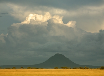 Photo: Arusha/Home