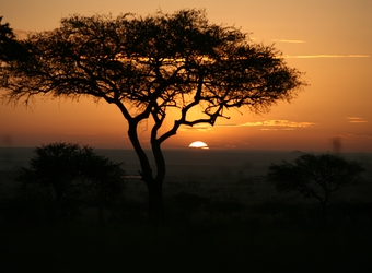 Photo: Dar es Salaam/Home