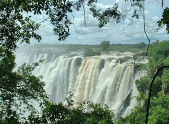 Victoris Falls seen through the surrounding framing foliage as it thunders over the cliff edge toward the Zambezi Gorge below in Zimbabwe