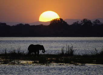 Photo: Harare/Home