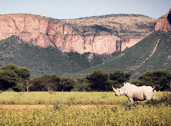 Photo: Marakele National Park