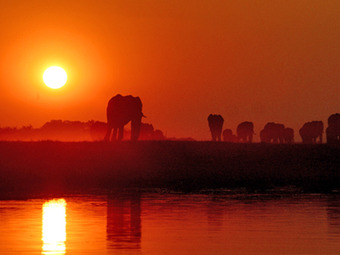 Photo: Okavango Delta